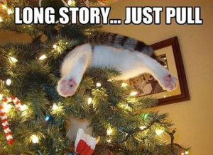 cats_in_christmas_trees_9-300x219.jpg