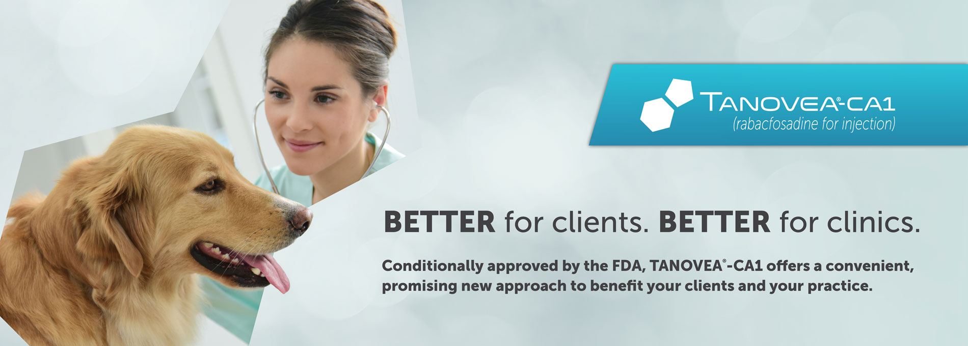 microchip tag for collar