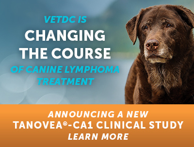 VDC_Pivotal-Study_Web